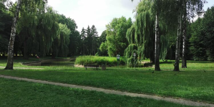 Będzie remont parku przy Batorego. Ogłoszono przetarg na projekt