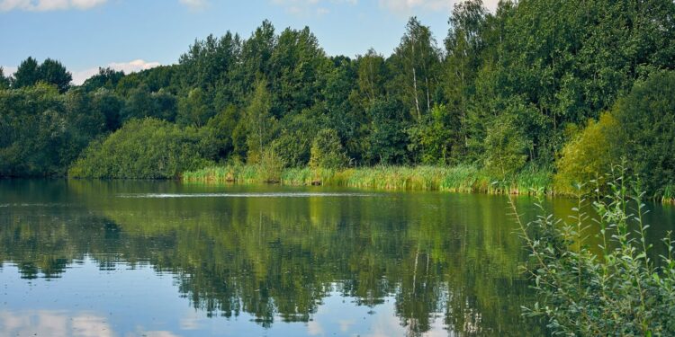 Zgorzeleckie wodociągi z blisko 10-milionowym dofinansowaniem