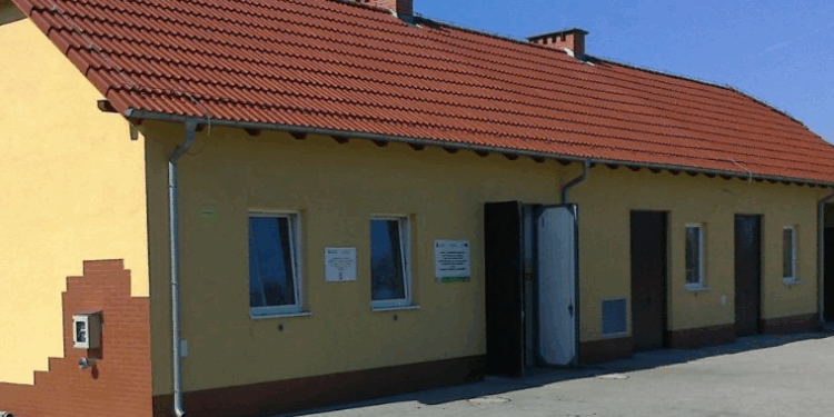 Cezary Wieczorek nowym prezesem Suplaz. Czy podniesie spółkę z kolan? Czy to dobry ruch?