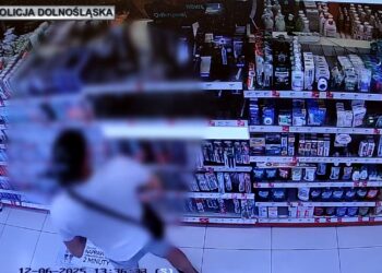 Zatrzymany przy granicy- odpowie za szereg przestępstw