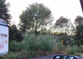 Wasze sprawy: Co z przystankiem autobusowym w Koźlicach?