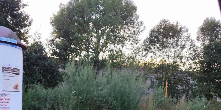 Wasze sprawy: Co z przystankiem autobusowym w Koźlicach?