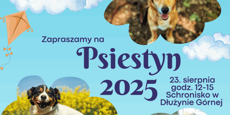 Psiestyn 2025 – schroniskowe święto ludzi dla zwierząt