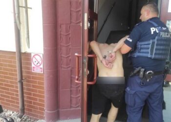 Ukradł torebkę, wpadł podczas kradzieży alkoholu