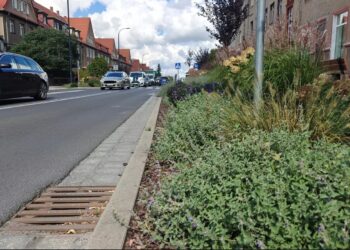 Bieżące utrzymanie kanalizacji deszczowej – w godzinach popołudniowych możliwe utrudnienia