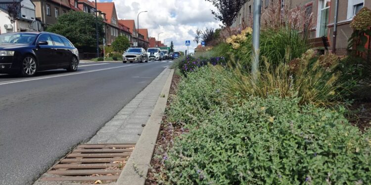 Bieżące utrzymanie kanalizacji deszczowej – w godzinach popołudniowych możliwe utrudnienia