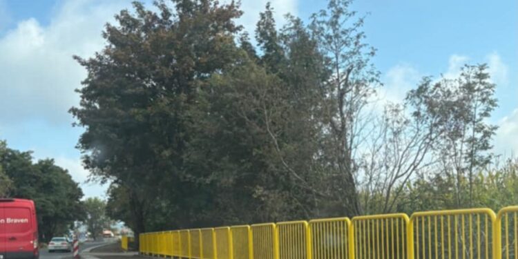 Ambaras o barierki na ścieżce rowerowej Bogatynia–Opolno-Zdrój