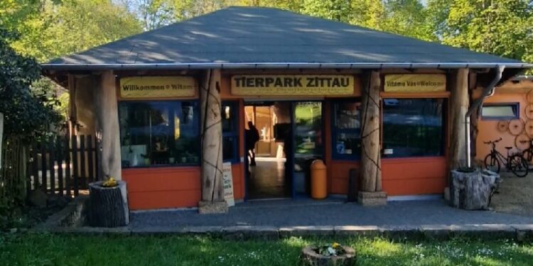 Kucyk torturowany w żytawskim ZOO – poszukiwani świadkowie