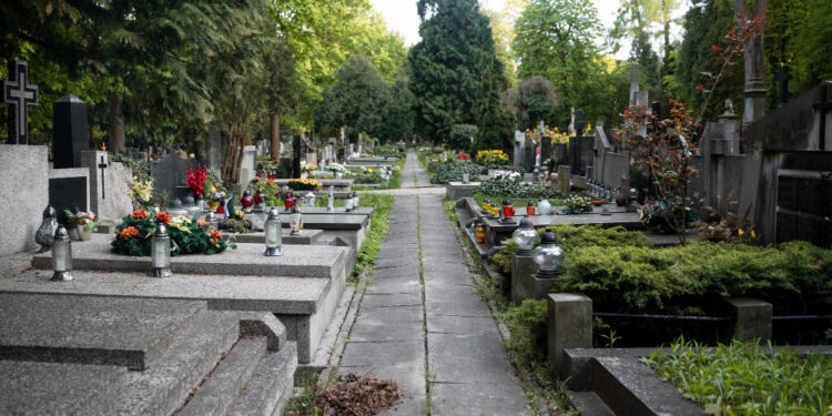 Wszystkich Świętych 2025 – organizacja ruchu i bezpłatna komunikacja