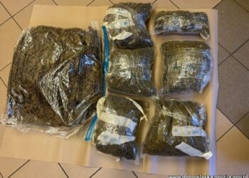 Zgorzeleccy kryminalni zabezpieczyli prawie 9 kg marihuany!