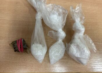 Prawie 450 działek handlowych kokainy, metamfetaminy i haszyszu u 27-latki