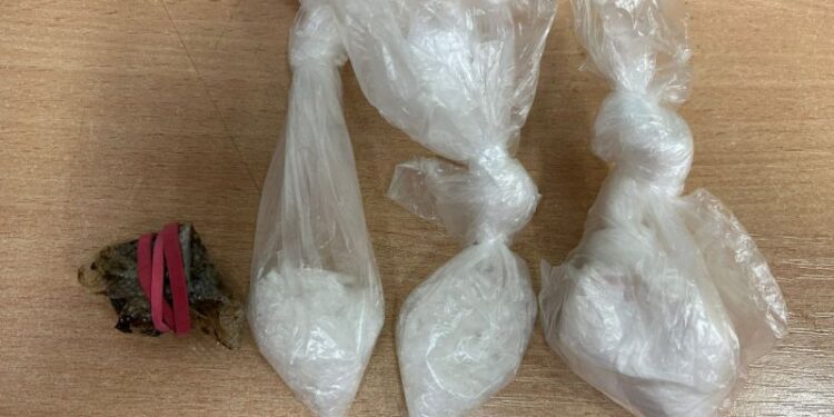 Prawie 450 działek handlowych kokainy, metamfetaminy i haszyszu u 27-latki