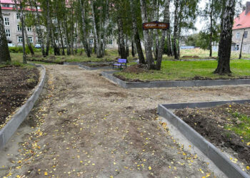 Rewitalizacja parku w Sieniawce