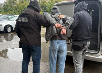 Młodzi Gruzini przemycali migrantów