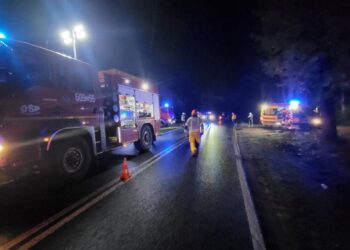 Śmiertelny wypadek na drodze między Węglińcem a Czerwoną Wodą