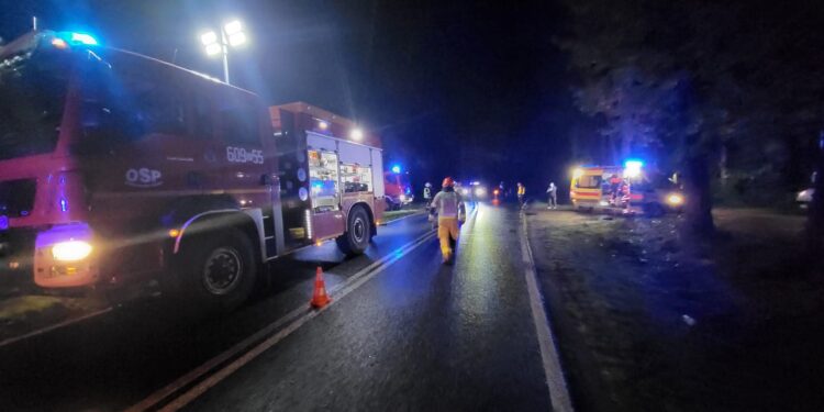 Śmiertelny wypadek na drodze między Węglińcem a Czerwoną Wodą