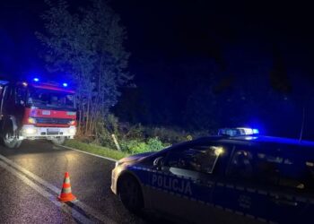Policja o wczorajszym tragicznym wypadku: Przyczyną niedostosowanie prędkości