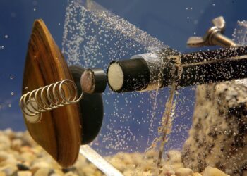 Małże czuwające nad bezpieczeństwem i jakością wody w Zgorzelcu