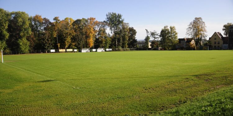 Sport w Zawidowie z nowym impulsem – PGE Górnictwo i Energetyka Konwencjonalna S.A. wspiera Piasta!