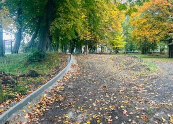 Trwa rewitalizacja parku miejskiego w Zawidowie
