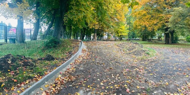 Trwa rewitalizacja parku miejskiego w Zawidowie