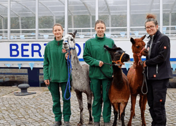 W piątek rejsy charytatywne na rzecz Zoo Görlitz!