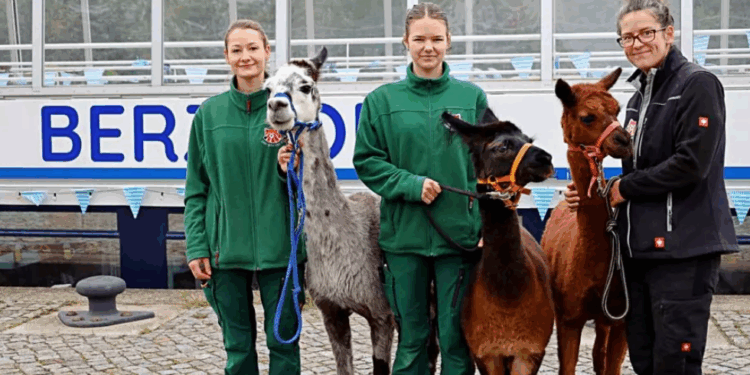W piątek rejsy charytatywne na rzecz Zoo Görlitz!