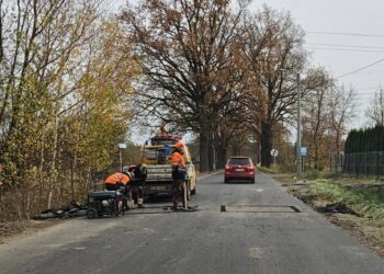 Spór o progi zwalniające w Małej Wsi Dolnej