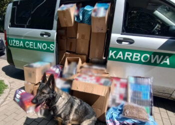 Sieniawka i Porajów: funkcjonariusze przejęli kontrabandę wartą prawie pół miliona