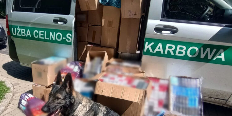 Sieniawka i Porajów: funkcjonariusze przejęli kontrabandę wartą prawie pół miliona