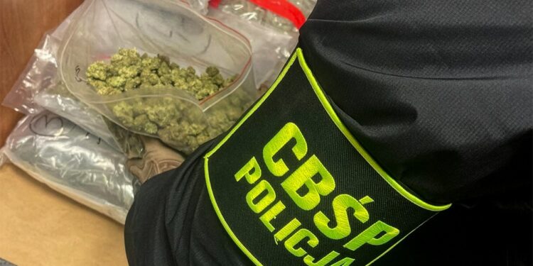 36 kg marihuany ukryte w szpuli z kablem. CBŚP i KAS przechwyciły transport na A4