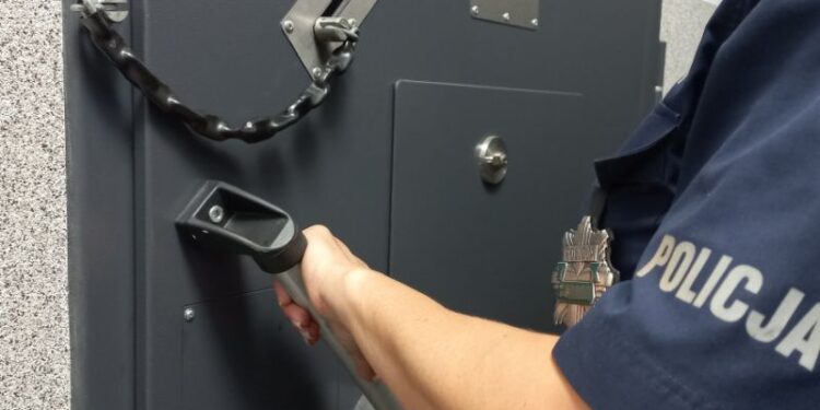 Zniszczenia za 40 tysięcy złotych. 20-latek przyznał się do podpaleń