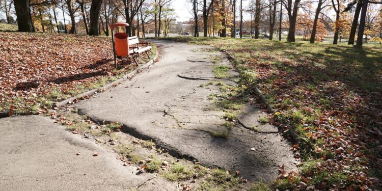 Przebudowa części parku im. I. Paderewskiego w Zgorzelcu – przetarg