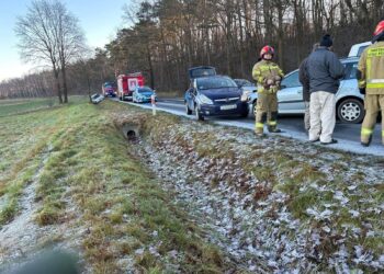 Lasów – Żarka nad Nysą: Utrudnienia w ruchu w związku z wypadkiem