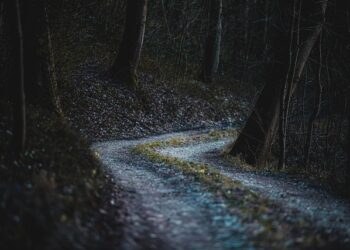 Polowanie zbiorowe interwencyjne