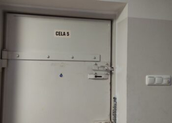 Sześć osób poszukiwanych zatrzymanych podczas minionego weekendu