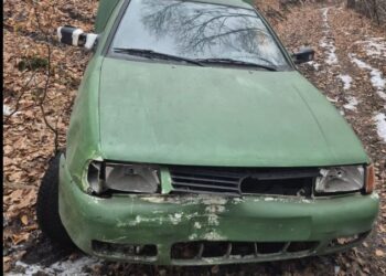 Bogatynia: Uciekał przed policją bez tablic, z zakazem i blisko 2 promilami – pościg zakończony w lesie