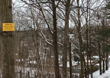 Zjazd z górki na własne ryzyko – tablice już wiszą w Parku Błachańca w Zgorzelcu