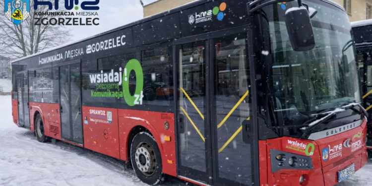 Już funkcjonuje bezpłatna komunikacja miejska w Zgorzelcu – czerwone autobusy