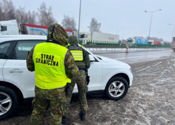 Podsumowanie siedmiu miesięcy polskich kontroli granicznych