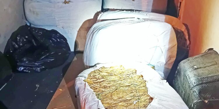 A4 Jędrzychowice: Zatrzymano susz tytoniowy o wartości ponad 700 tys. zł