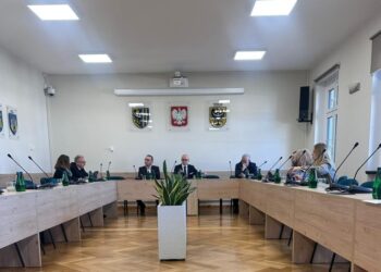 Transformacja energetyczna Subregionu tematem posiedzenia Komisji Budżetowo-Gospodarczej i Ochrony Środowiska Rady Powiatu Zgorzeleckiego