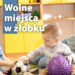 Integracyjny Żłobek Publiczny nr 1 w Bogatyni informuje o dostępności 19 wolnych miejsc dla dzieci