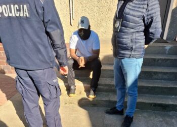 Cudzoziemcy pod kontrolą – wspólna akcja Nadodrzańskiego Oddziału Straży Granicznej i policji