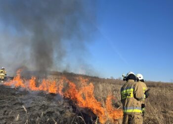 Ciepła aura sprzyja pożarom. Płoną trawy i nieużytki