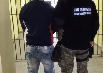 Czterech ściganych w rękach Straży Granicznej