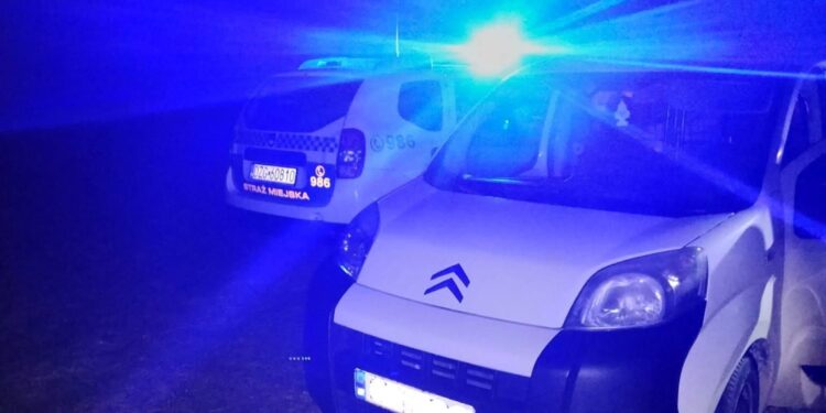 Bogatynia: Podejrzenie kradzieży drewna zakończyło się ujawnieniem skradzionego auta