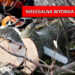Nielegalna wycinka na Zalewie w Bogatyni? Urząd wydaje komunikat