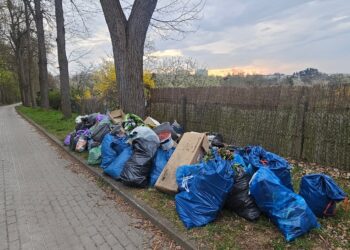 „Wstyd i hańba!” Apel zarządu ogrodów działkowych
