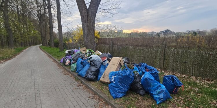 „Wstyd i hańba!” Apel zarządu ogrodów działkowych